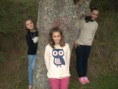 /album/love-drops-%e2%99%a5-sesionde-fotos-%e2%99%a5/pa192860-jpg/